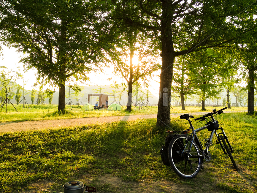 강천섬,gangcheonsum,자연,잔디,나무,풀밭,자전거,오후햇살,은행나무,nature,grass,tree,bicycle,sunshineinafternoon,sunlight,ginkgo,자연,풍경,nature,landscape,bike,vehicle,차량,transportation,교통,wheel,바퀴,machine,기계