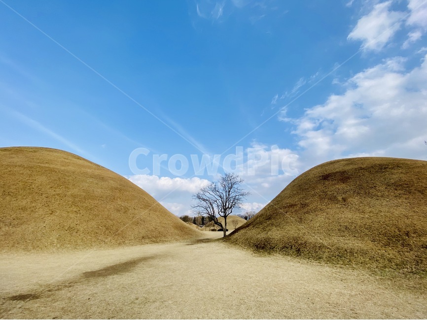 경주,하늘,구름,나무,천마총