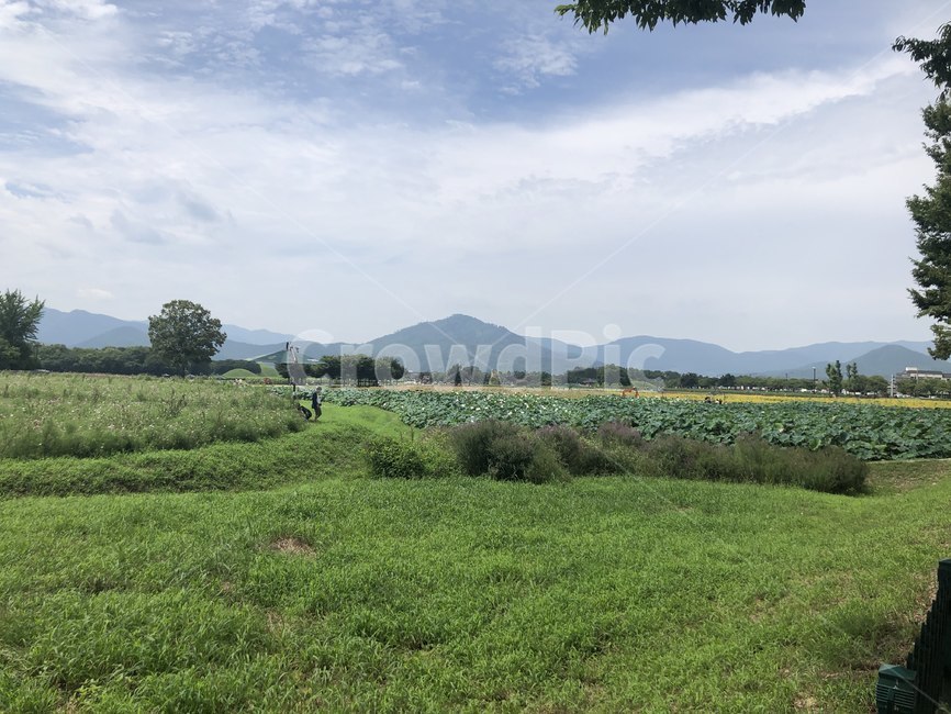grassland,outdoors,nature,countryside,rural,farm,풍경,들판,평온