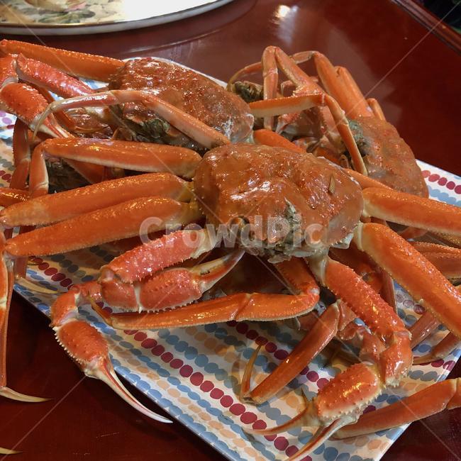 대게,게찜,갑각류,해산물,수산물,겨울요리,crab,snowcrab,steamedcrab,crustacean,seafood,winterfood