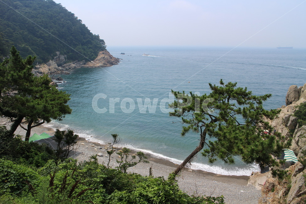 바다,바다공원,부산,태종대,여름,sea,busan,summer,자연,풍경,자연,풍경,nature,landscape,promontory,곶,water,물,shoreline,해안선