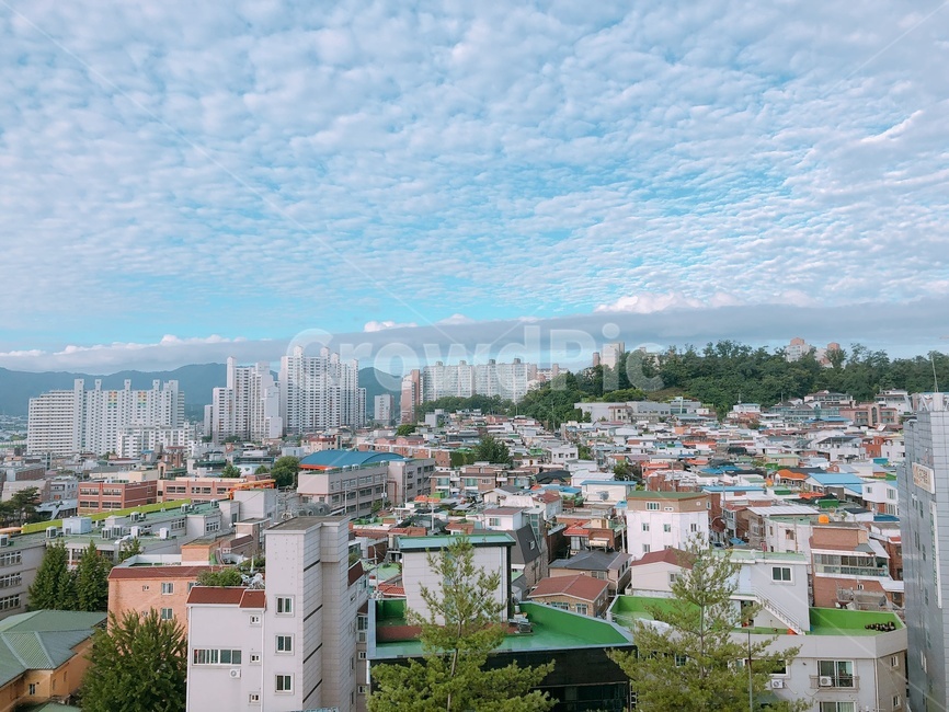 구름,지진운,하늘,푸른,건물
