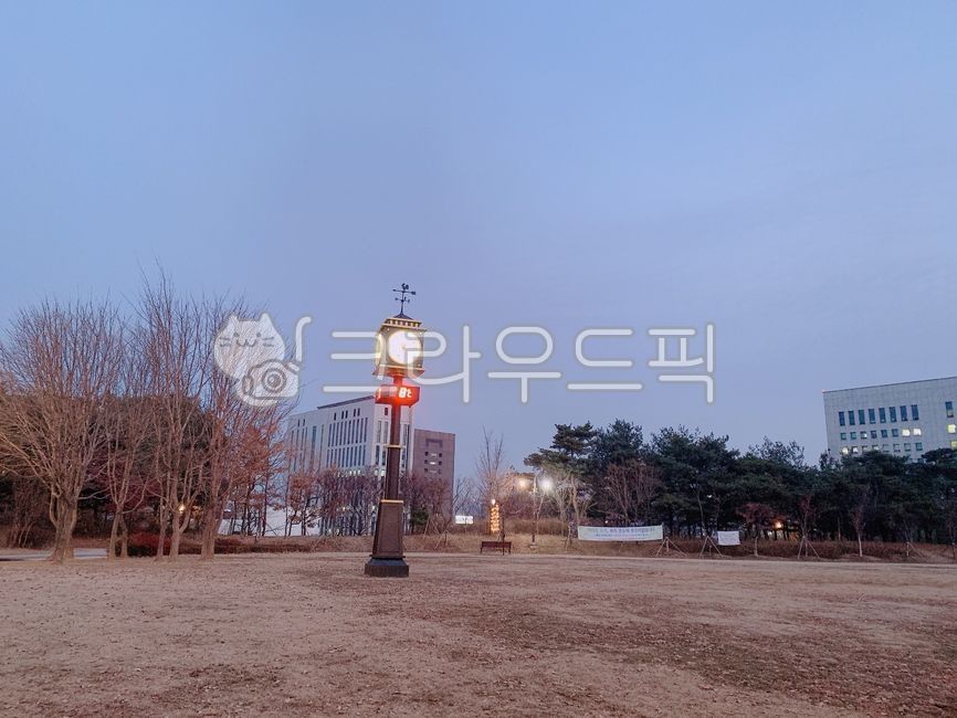 park road,walk in the park,walking path,asphalt,clock tower,park,walk