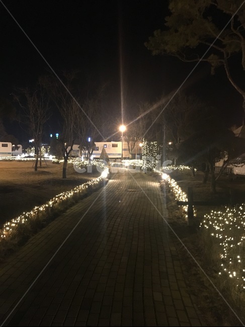 산책,밤길,전등길,전등,저녁,야경,밤,풍경,nightscape,night,landscape,light,빛,flare,플레어,path,통로,asphalt,아스팔트