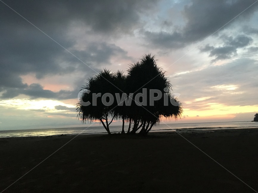 선셋,석양,노을,sunset,바다,코타키나발루,나무,해변