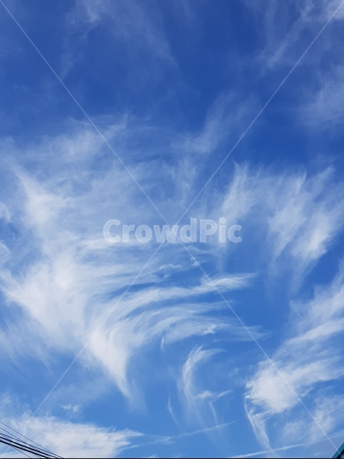 구름,하늘,특이한구름,파란하늘,sky,bluesky,흘림구름