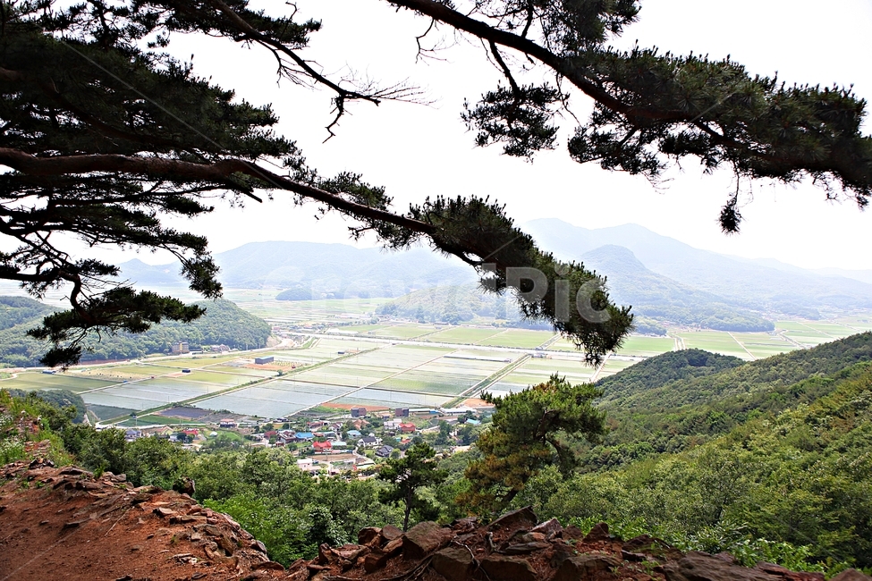 전등사,전등사둘레길,길,돌담,성곽,풍경