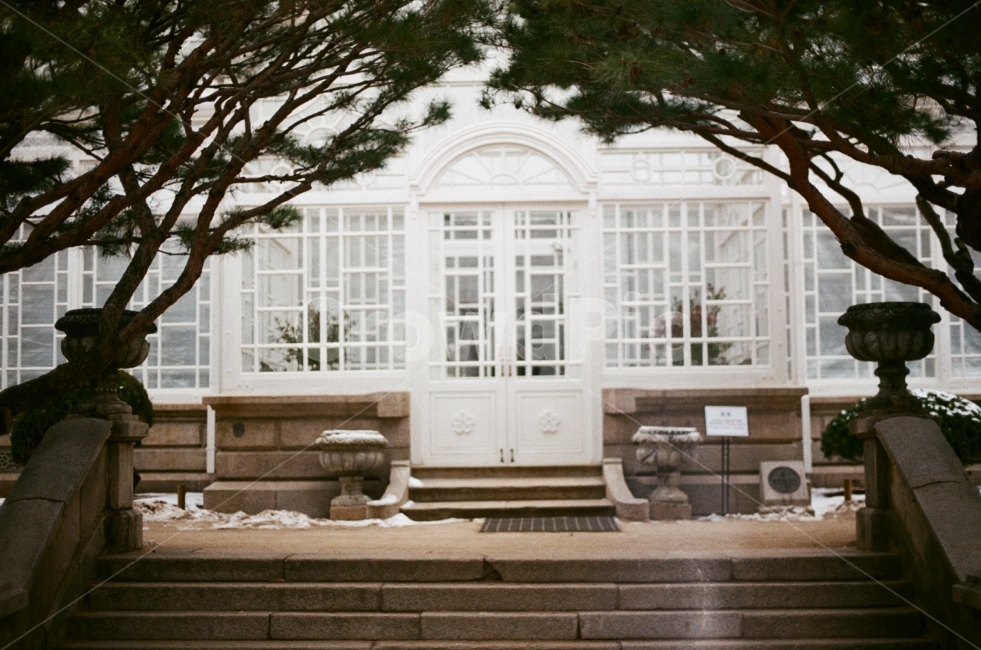 창경궁,대온실,나무,계단,겨울,풍경,전통,필름사진,행복,하늘,추억,대한민국,서울,눈,tradition,tree,stails,winter,landscape,film,happy,sky,memory,korea,seoul,겨울,계절,winter,season,랜드마크,landmark,tourist attraction,한국랜드마크,한국관광지,한국명소,korea landmark,korea tourist attraction