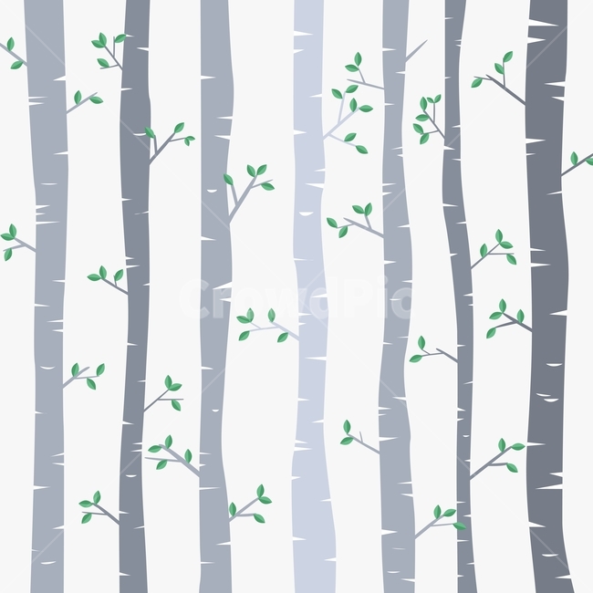 자작나무,숲,잎,나무,식물,가지,식물,자연,plants,nature,나무,trees,wood,그래픽,일러스트레이션,graphic,illustration