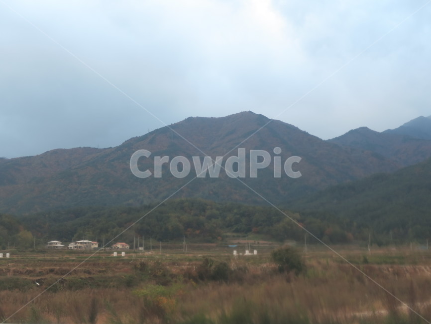 시골,산,하늘,평야,나무
