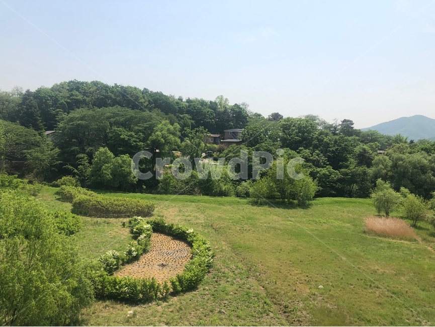 힐링,근교,산,풍경,배산임수,강산,잔디,자연,nature,grass,mountain,여름,봄,summer,spring,나무,산림,tree