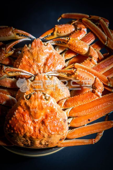 러시아대게,대게,홍게,킹크랩,대게찜,홍게찜,영덕대게,동해안대게,음식,식재료,요리,food,cook,meal,dishes,food reserves