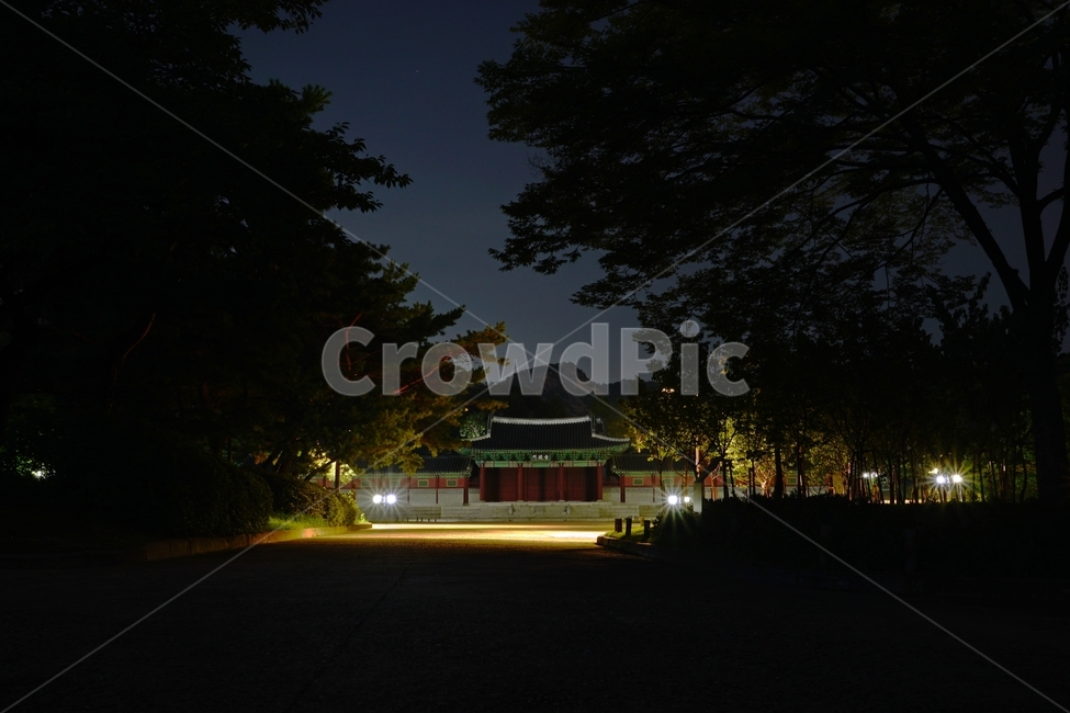한국,서울,경희궁,경덕궁,궁궐,궁전,조선,조선시대,조선왕조,왕국,야경,한옥,palace,korea,seoul,문화재,역사,전통,문화,전통문화,한국적인,nightview,nightscene,nightscape,나무,tree,북악산,자연,밤하늘,야경,밤,풍경,nightscape,night,landscape,랜드마크,landmark,tourist attraction,한국랜드마크,한국관광지,한국명소,korea landmark,korea tourist attraction