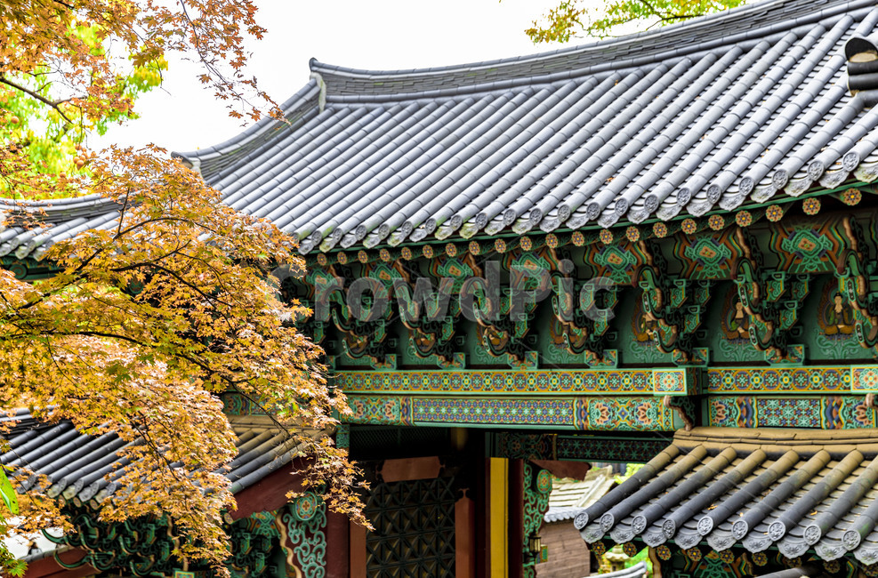 길상사,사찰,기와,기와지붕,단풍,가을,지붕,roof,만추,전통가옥,한옥,한국전통,한국문화,korean traditional,korean culture,건축물,건물외관,exterior,building,structure,architecture,construction