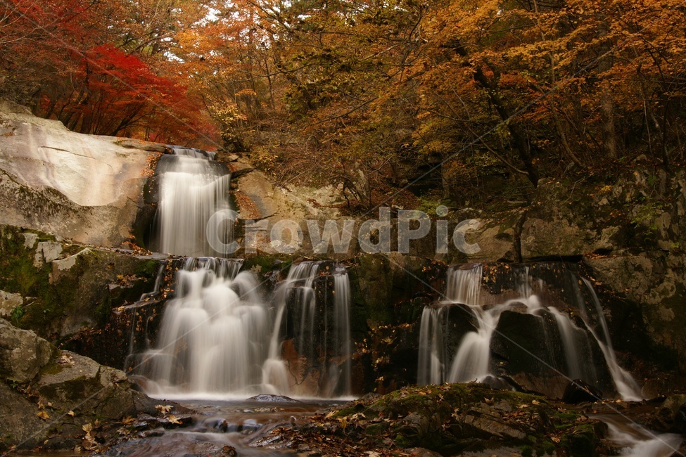 가을,단풍,폭포,계곡,풍경,가을,계절,fall,autumn,season,자연,풍경,nature,landscape,water,물,outdoors,옥외,river,강,waterfall