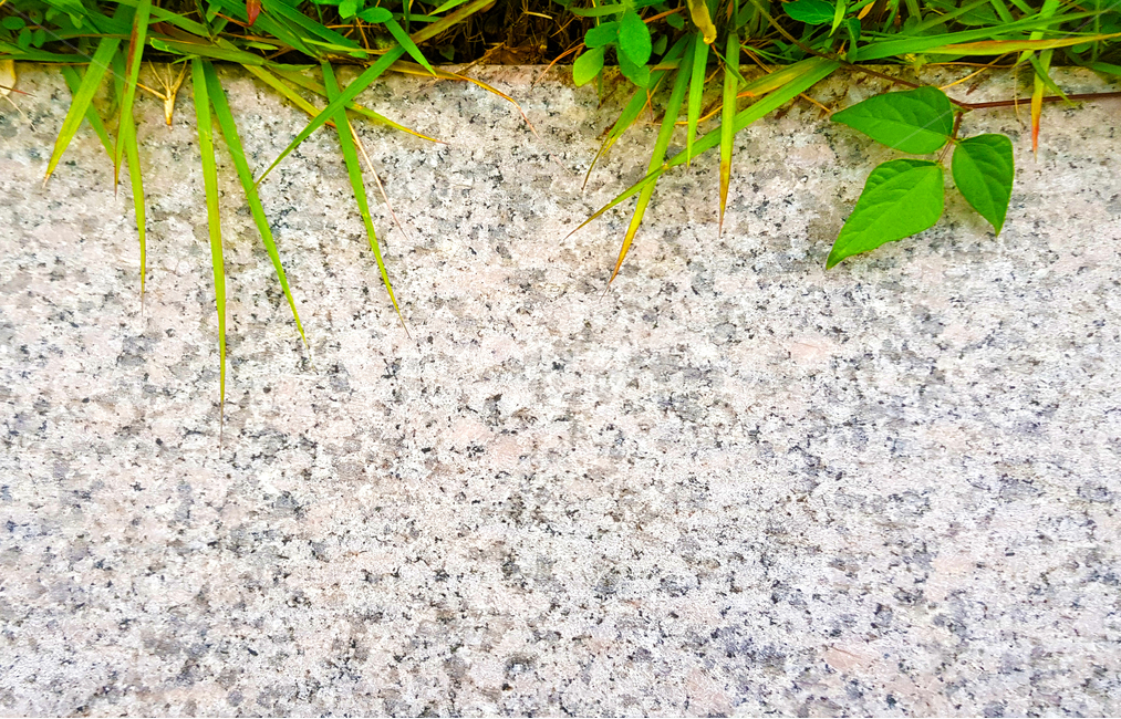 대리석,마블,배경,background,질감,패턴,백그라운드,텍스처,texture,patternstyle,레이아웃,디자인소스,문양,무늬,표면,식물,자연,plants,nature