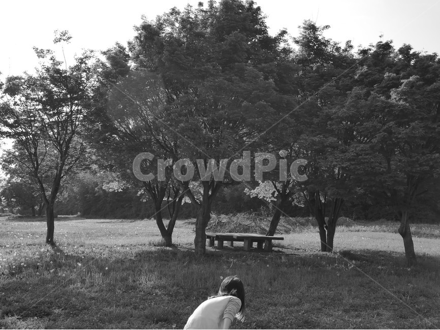 흑백사진,벤치,나무,tree,뒷모습