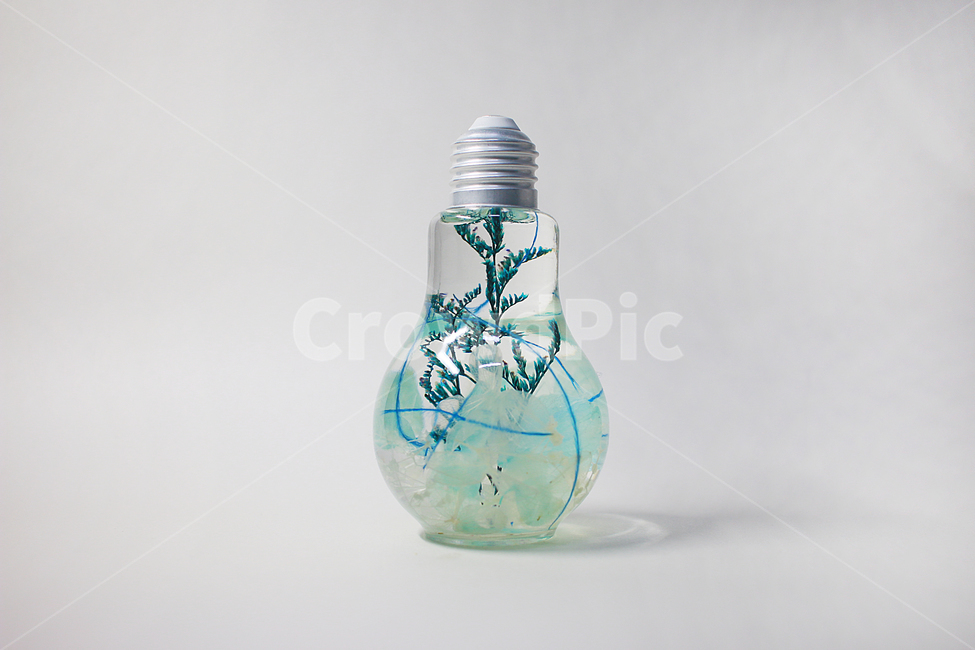 하바리움,전구,인테리어,무드등,꽃,감성,사물,물건,오브젝트,thing,object,matter