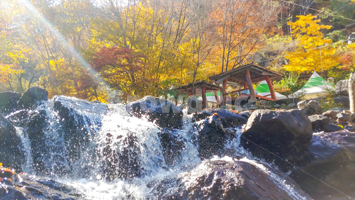 가을,단풍,폭포,산,시골,가을,계절,fall,autumn,season,자연,풍경,nature,landscape,water,물,outdoors,옥외,river,강