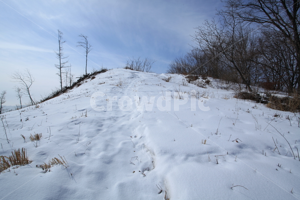 눈,하얀눈,겨울,하얀겨울,눈길,겨울,계절,winter,season