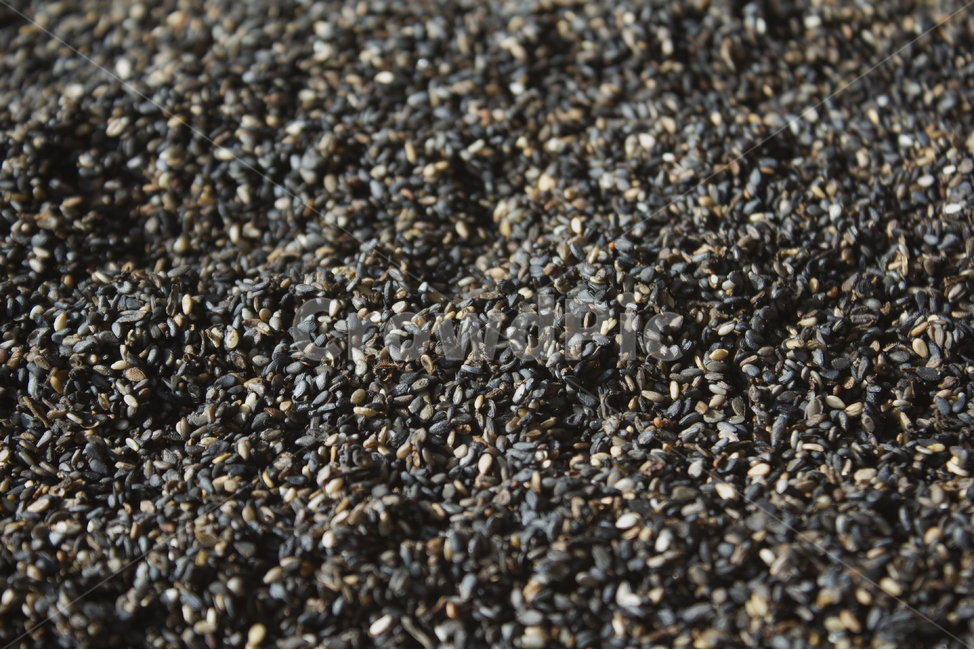 brown,closeup,dry,dummy,food,gold,grain,macro,meal,natural,nature,organic,plant,seed,seeds,sesame,sesameseed,sesameseeds,top,topangle,topview,yellow,깨,참깨,곡식,곡류,음식,음식재료,식재료,식물,씨앗,씨,갈색,브라운,말린,말리는,건조,자연,클로즈업,탑앵글,탑뷰,깨소금,농작물,농촌,농사