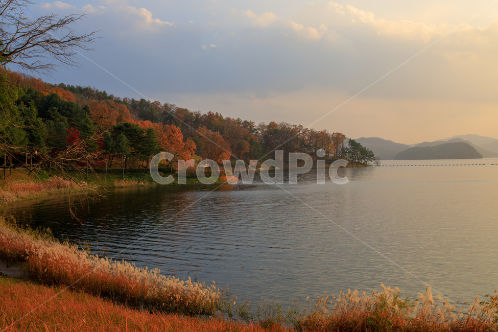 lake,호수,자연,nature,landscape,대청호,가을,자연,풍경,nature,landscape,water,물,outdoors,옥외