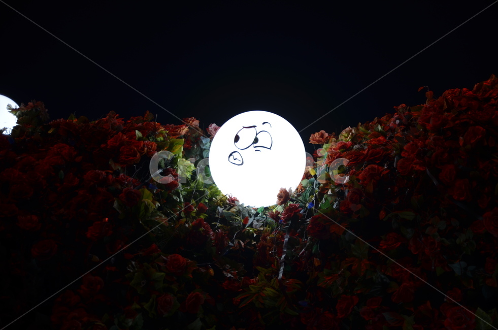 할로윈,표정,찡그림,얼굴,화이트