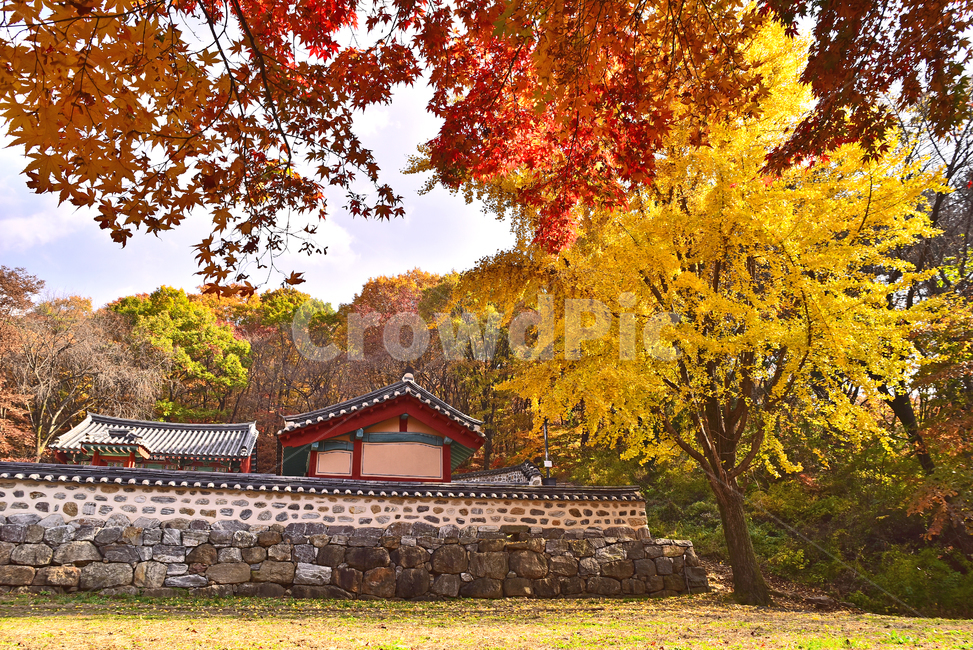 가을,남한산성,가을배경,건축물,유네스코,unesco,세계문화유산,가을단풍,사당,건물,고건축,한국전통,기와지붕,태극마크,은행나무,단풍숲,배경,바탕,백그라운드,야외,옥외,아웃도어,background,outdoor,환경,environment,maple,forest,structure,building,벽,지붕,wall,돌담,칼라풀,컬러풀,colorful,가을분위기,가을서정,계절,시즌,season,tree,나무,plant,식물,가을,계절,fall,autumn,season,한국전통,한국문화,korean traditional,korean culture,랜드마크,landmark,tourist attraction,한국랜드마크,한국관광지,한국명소,korea landmark,korea tourist attraction,건축물,건물외관,exterior,building,structure,architecture,construction,단풍