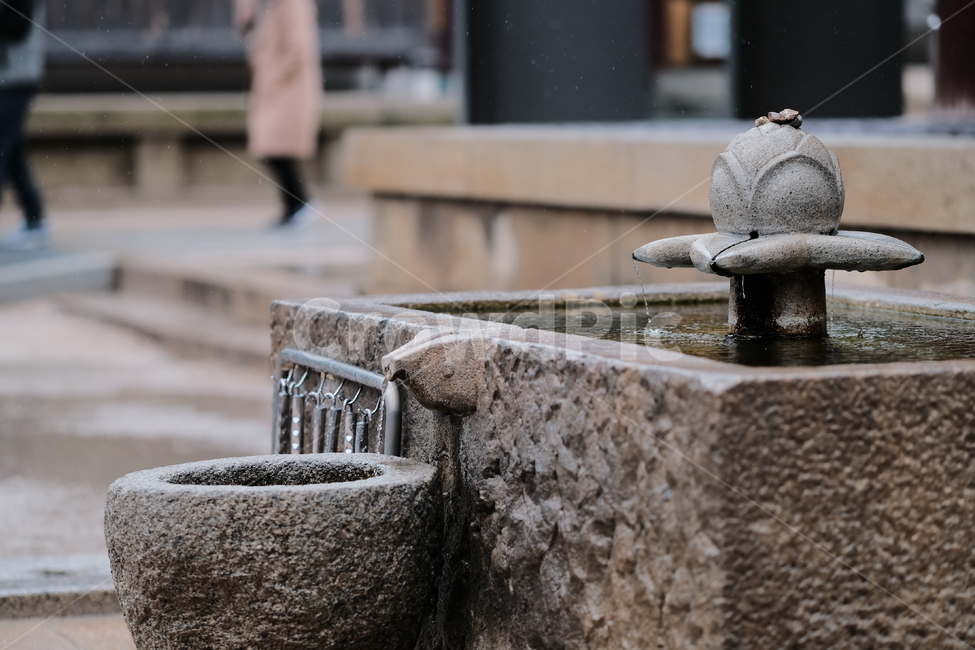 rainyday,절,사찰,비,temple,한국전통,한국문화,korean traditional,korean culture,비,비오는날,rain,rainy