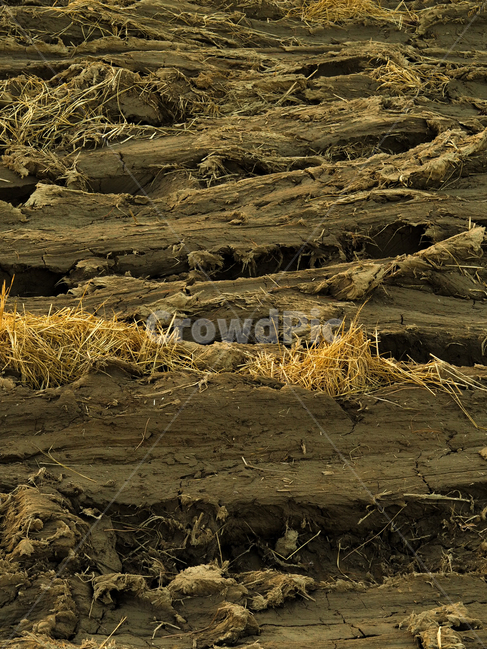 논,흙,땅,논갈이,진흙,자연,풍경,nature,landscape,ground,바닥