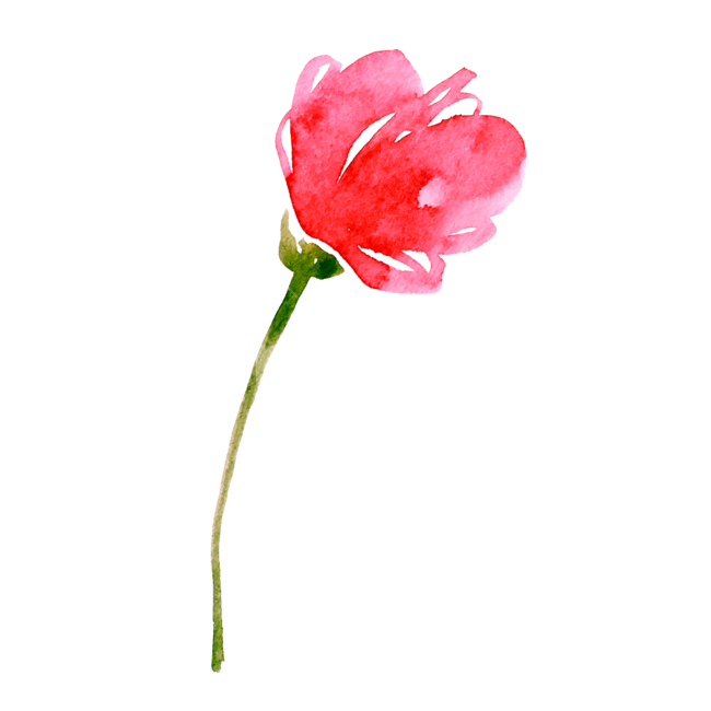 꽃,flower,blossom,식물,수채화,수작업,일러스트,한송이,누끼,배경없음,누끼,remove background