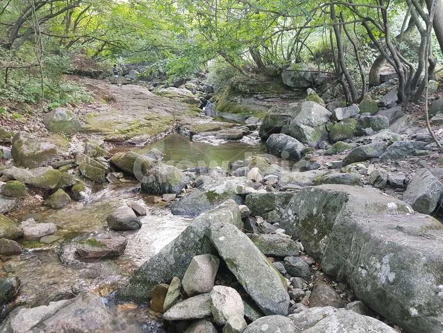 상신계곡,계룡산,계곡,자연,산,자연,풍경,nature,landscape,rubble,파편,water,물,outdoors,옥외