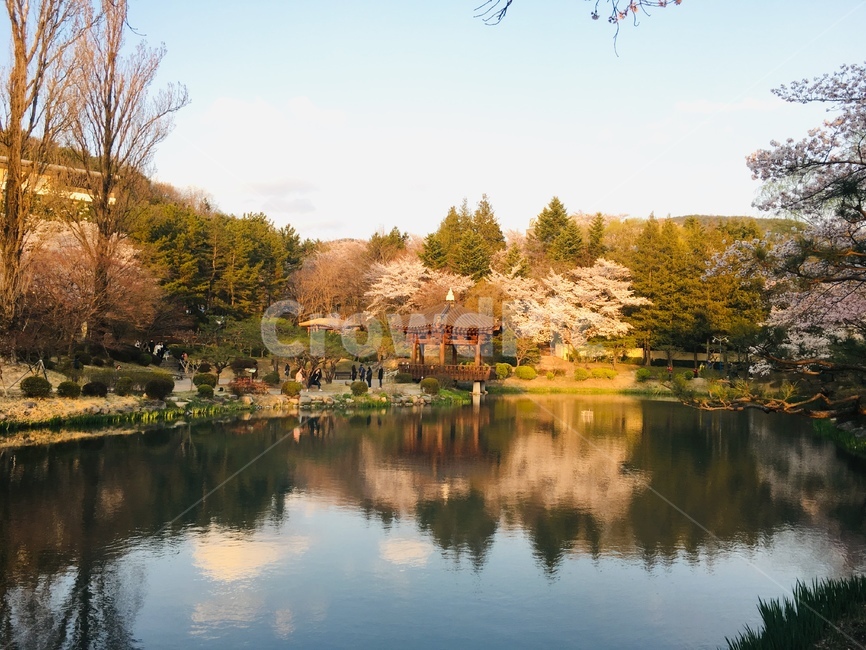 물,호수,자연,풍경,nature,조화,초록,봄,계절,spring,season,자연,풍경,nature,landscape,water,outdoors,옥외,tree,나무,plant,식물