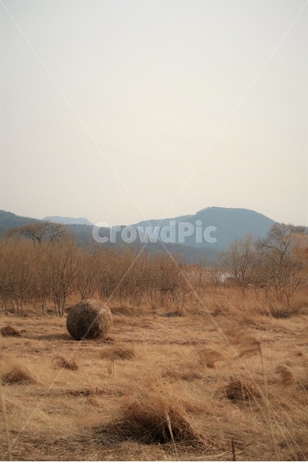 겨울,쓸쓸함,두물머리,가을,풍경,겨울,계절,winter,season,자연,풍경,nature,landscape,ground,바닥,outdoors,옥외