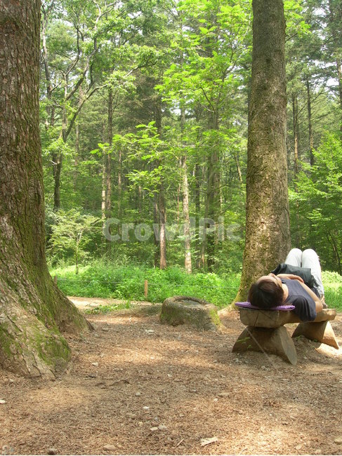 휴식,쉼,나무,힐링,자연,산,공원,숲,사람,벤치,rest,tree,healing,nature,park,forest,woman,person,bench