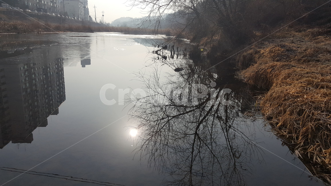 수면,반사,강,태양,물에비친,풍경,자연,자연,풍경,nature,landscape,outdoors,옥외,land,땅,water,물