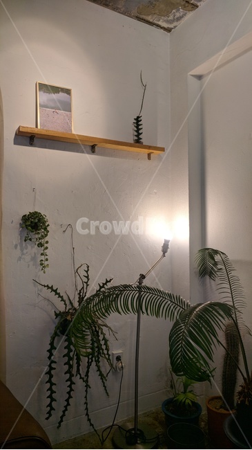 카페,감성,분위기,조명,인테리어,Cafe,lighting,interiors,mood