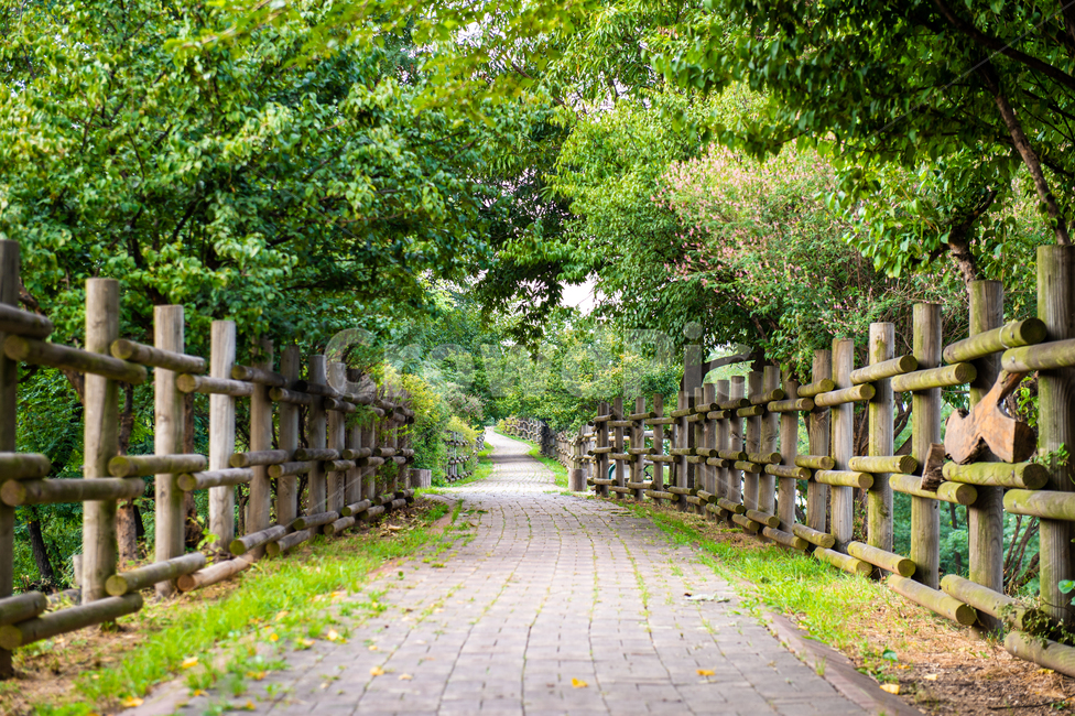 길,road,오솔길,공원,옥외