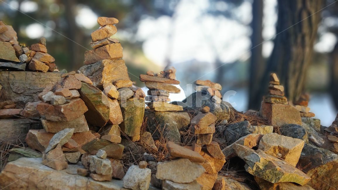 파편,돌탑,rubble,나무,소원빌기,돌쌓기,정성