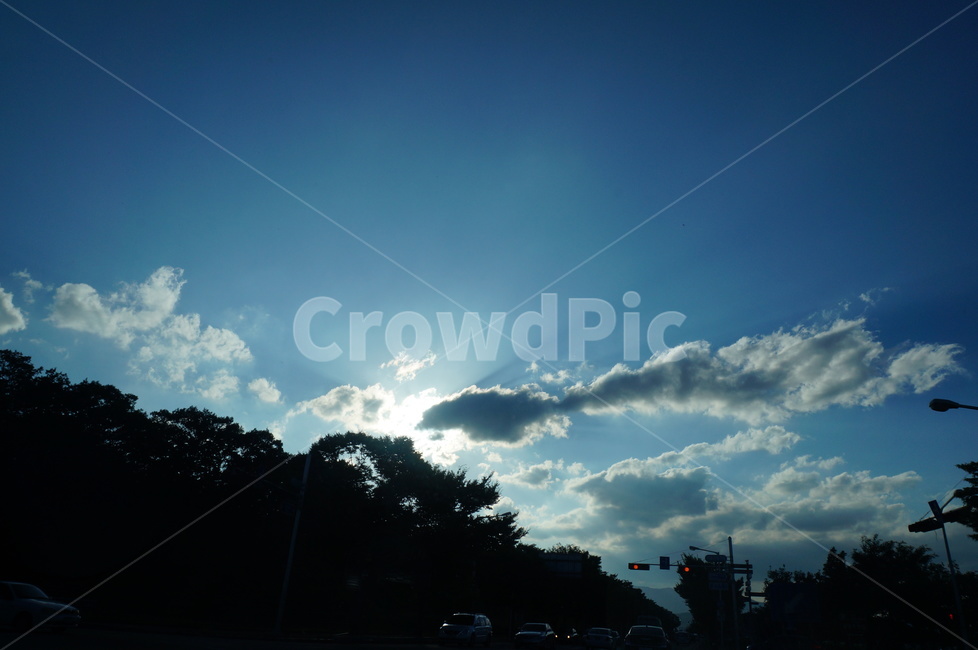 light,햇빛,sunlight,weather,자연,nature,flare,플레어,빛