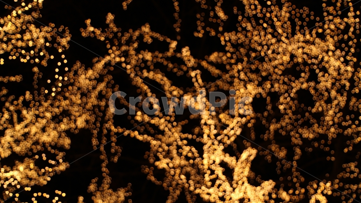 나무,불빛,빛,보케,금색,축제,야경,밤,풍경,nightscape,night,landscape,감성,sensible,feeling