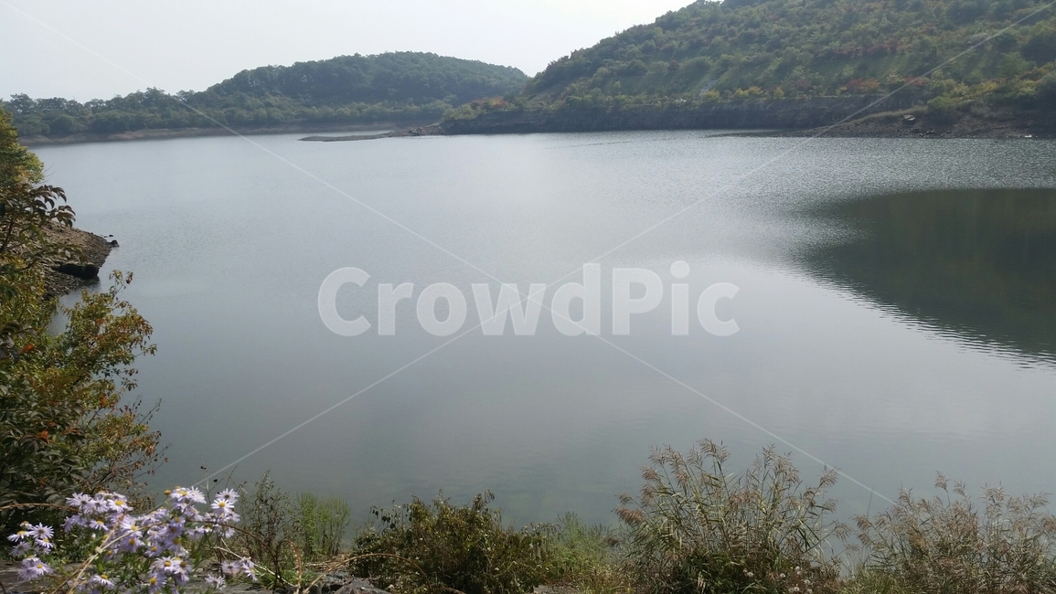 자연,배경,초록,봄,호수,자연,풍경,nature,landscape,outdoors,옥외,water,물