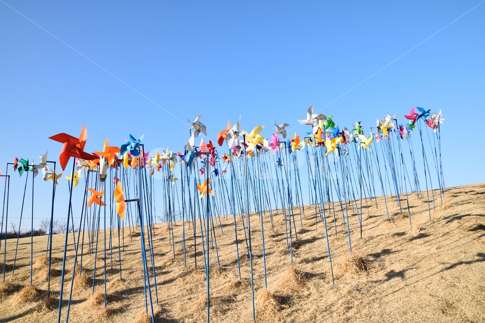 파주,바람개비,하늘,언덕,sky