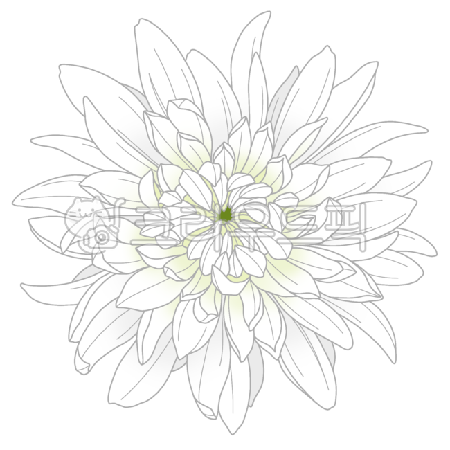 Chrysanthemum,white chrysanthemum,chrysanthemum flower,funeral,funeral service,portrait,funeral home,death,deceased,sadness,condolences,condolence,remembrance,mourning,condolence,repose,condolence,flower,flower,chrysanthemum,flower ill