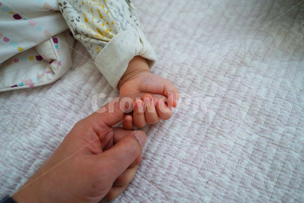 아기손,아기,신생아,아기손아빠손,유아,사람,인물,인간,human,person,가족,패밀리,family,영유아,아기,애기,아이,infants,baby