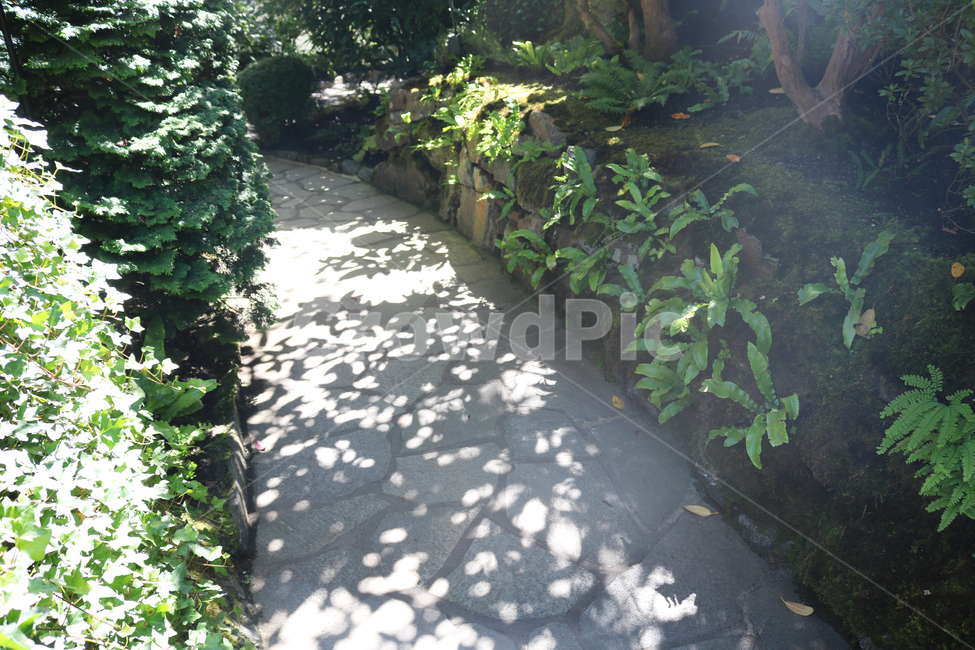 자연,햇살,따사로운,sunshine,sunny,garden,정원,숲속,숲속길,동화같은,그림자,날좋은,맑은,화창한,자연,풍경,nature,landscape,outdoors,옥외