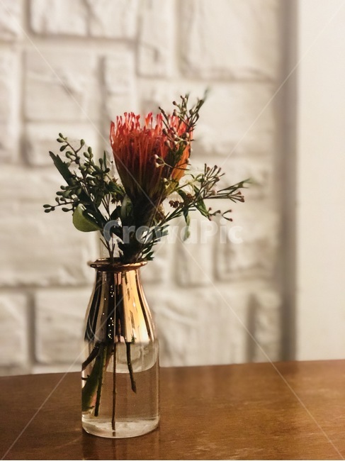 꽃,꽃병,소품,인테리어,테이블,장식,꽃,flower,실내용화초,화분,화초,house plant