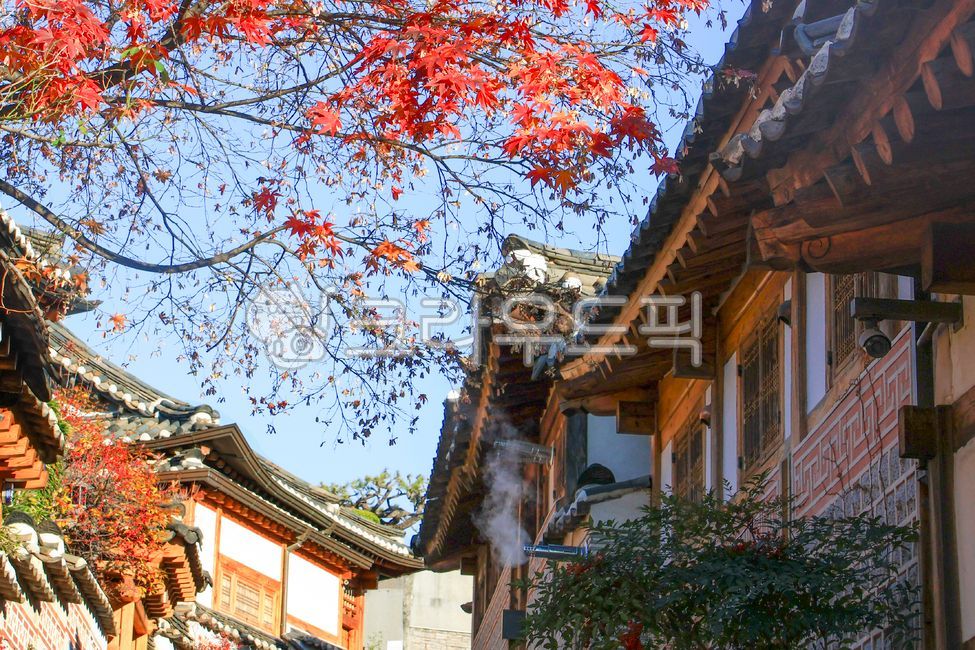 북촌,한옥,한옥마을,북촌한옥마을,기와,전통,서울,한국,기와집,고전적인,건축물,전통가옥,한국전통,한국문화,가을,단풍