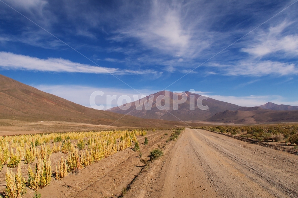 길,흙길,산,하늘,퀴노아밭,도로,길다,road,nature,roadtrip,view,outdoor,landscape,longroad,자연,풍경,nature,landscape,해외,외국,세계,foreign,oversea,world,세계자연풍경,해외자연풍경,외국자연풍경,world nature landscape,outdoors,옥외