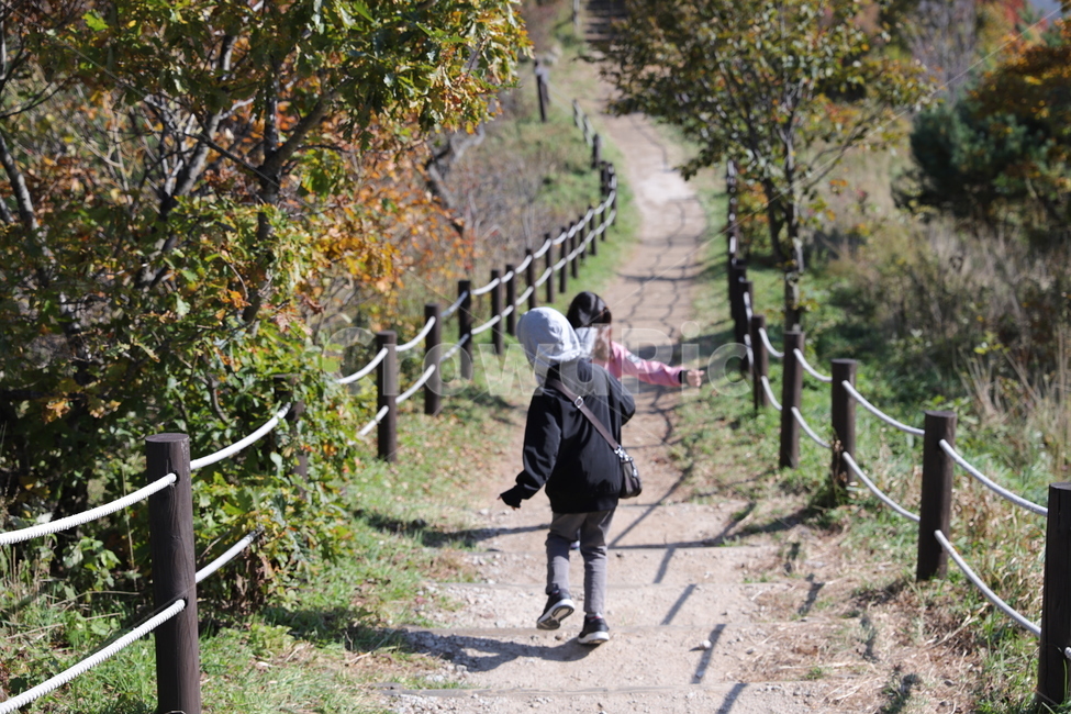 아이들,산,숲,좁은길,산길,사람,인물,인간,human,person,어린이,어린아이,child,children,kid,여행,휴가,traveling,vacation,trip